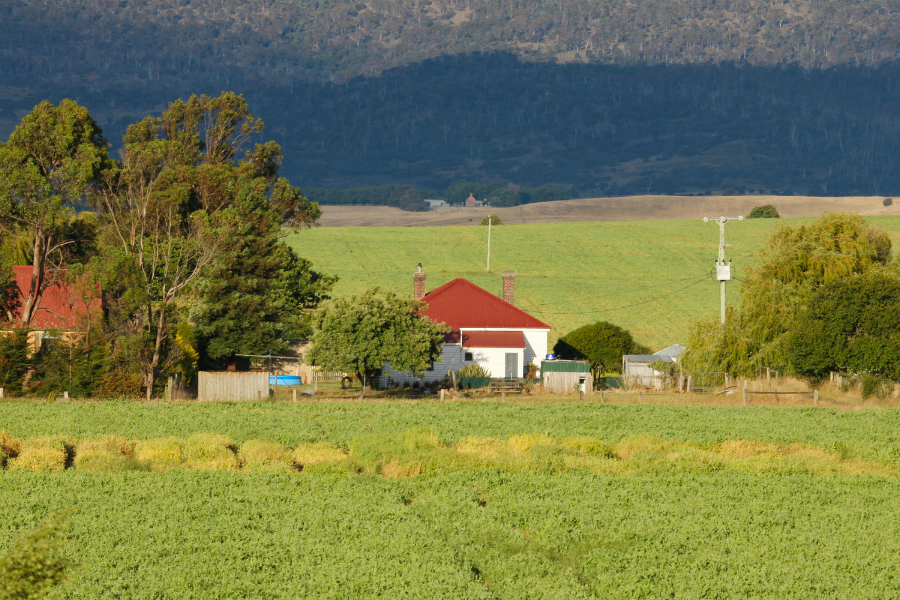 Title Services Cass County